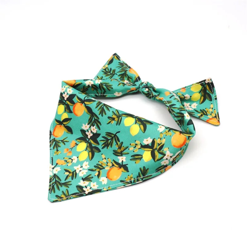 Zesty Zing: 5-Piece Lemon Print Pet Harness Set for Playful Pets