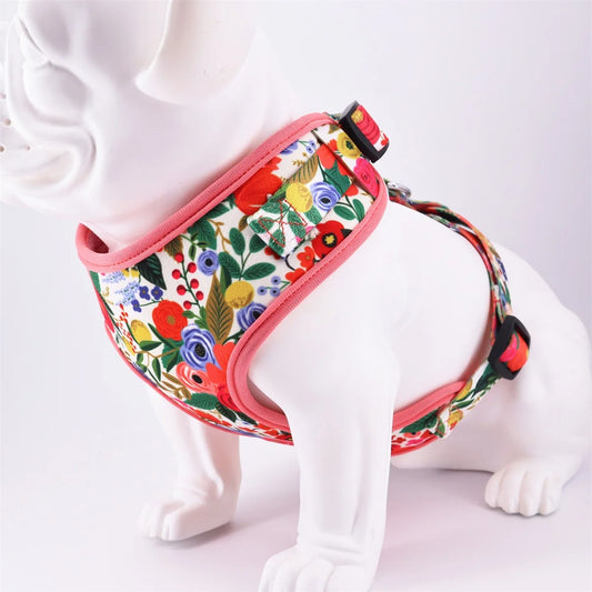 Ravishing Pansies: 5-Piece Red Floral Print Pet Harness Set for Sophisticated Pets