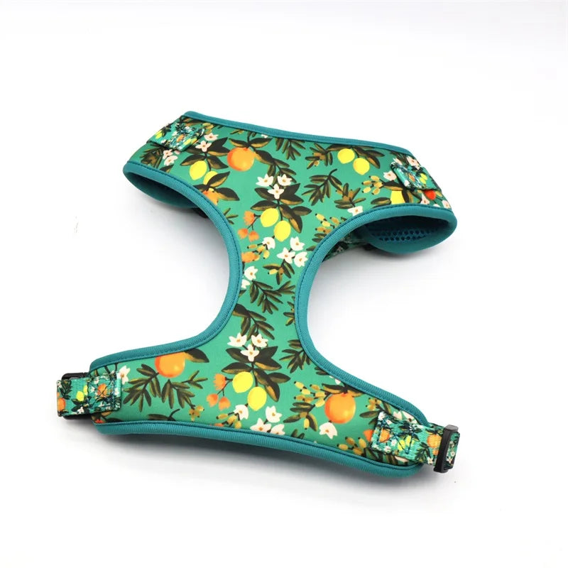 Zesty Zing: 5-Piece Lemon Print Pet Harness Set for Playful Pets