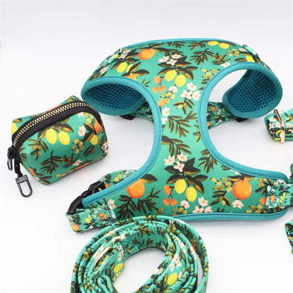 Zesty Zing: 5-Piece Lemon Print Pet Harness Set for Playful Pets