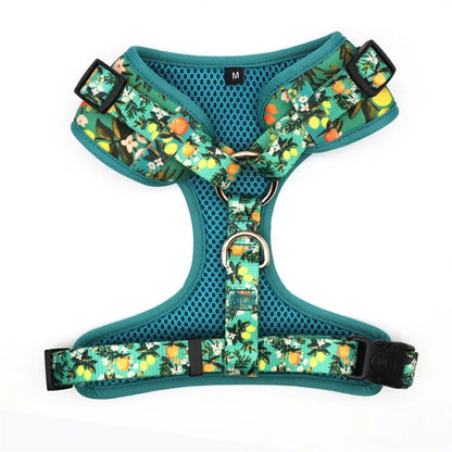 Zesty Zing: 5-Piece Lemon Print Pet Harness Set for Playful Pets