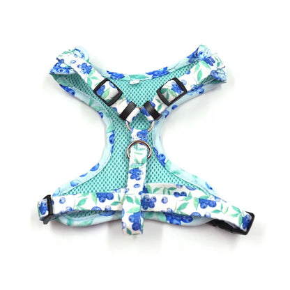 Berry Bliss: 5-Piece Blueberry Print Pet Harness Set for Quirky Pets